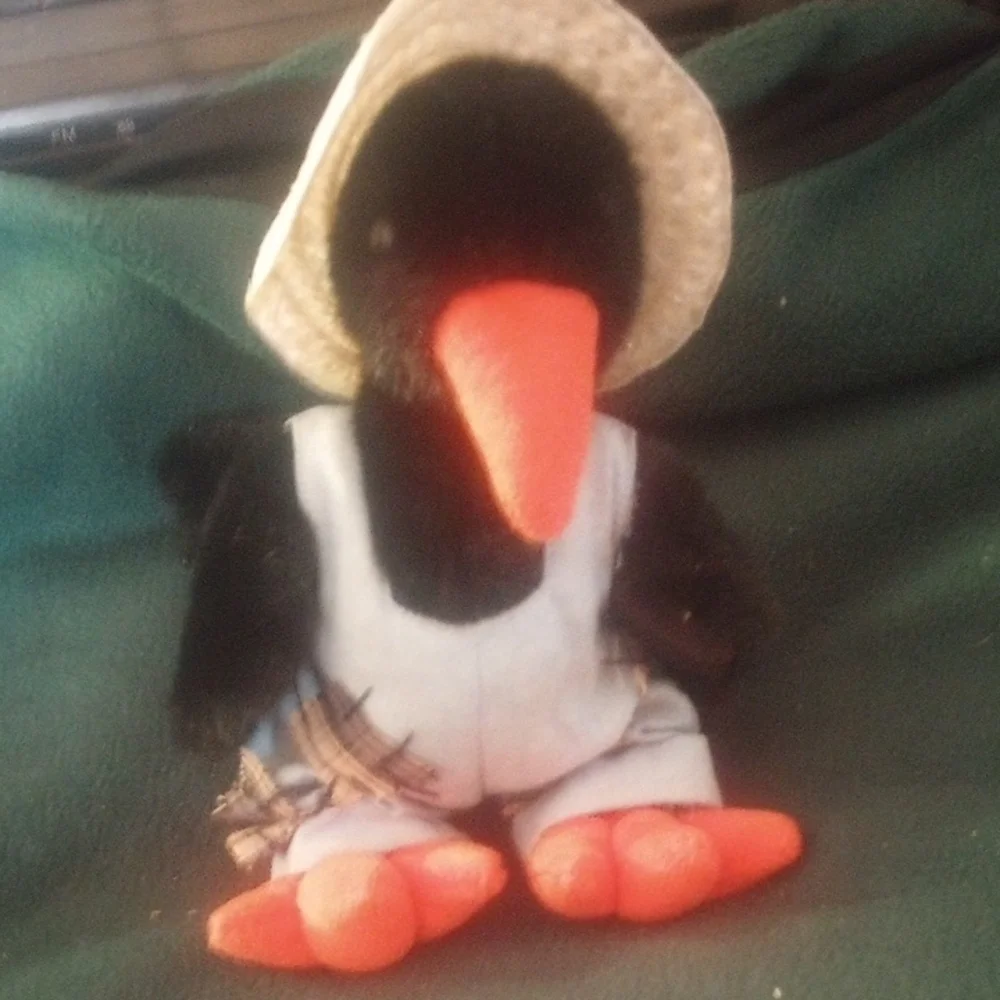 TY Retired Cawley The Crow Plush